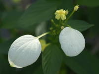 �R�������J