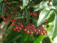 �}�������E