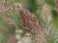 �����j�X