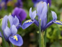 �~�j�A�C���X