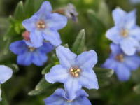 �~���}�z�^���J�Y��