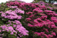 �~���}�L���V�}