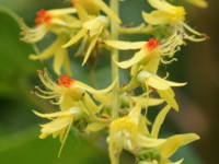 ���N�Q���W