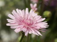 �����C���^���|�|