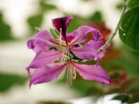 �����T�L�\�V���J