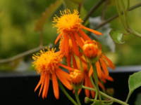 ���L�V�R�T���M�N