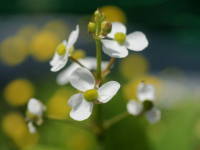 �i�K�o�I���_�J