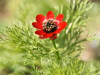 �i�c�U�L�t�N�W���\�E