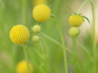 �Z�t�@���t�H��