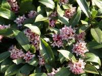 �W���`���E�Q