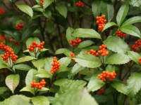 �Z�������E