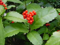 �Z�������E