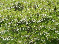 �h�E�_���c�c�W