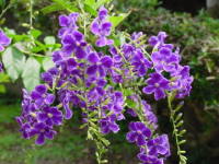 �f�������^