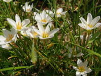 �^�}�X�_��