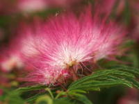 �g�L���l��