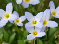 �g�L���i�Y�i