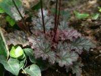 �c�{�T���S