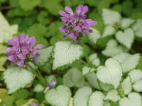 ���~�E��