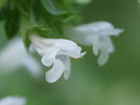 �������o�[��