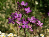 ���i���A