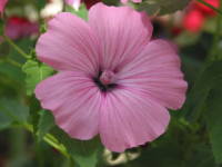 ���o�e��