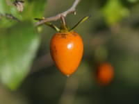 ���E���K�L