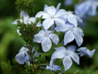 �����}�c��