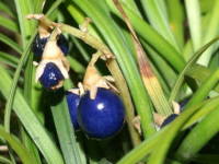 �����E�m�q�Q