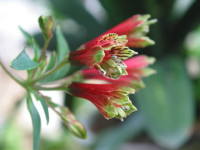 �����Y�C�Z��