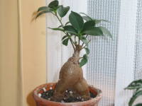 �K�W���}��