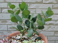 �O���[���h����