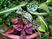 �q�|�G�X�e�X