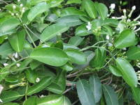 �}�_�K�X�J���W���X�~��