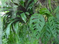 �}�h�J�Y��