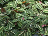 �}�����^