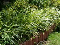 ���u����