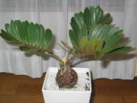 �U�~�A�E�v�~��