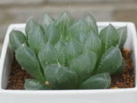 �n�I���`�A