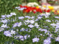 �J�ԁi�����j