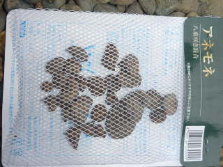 �A�l���l�̋���