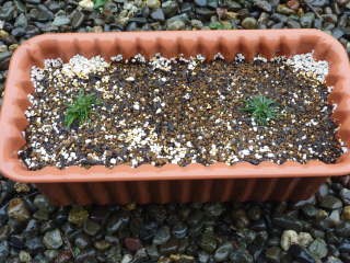 �A�������A�̒�A