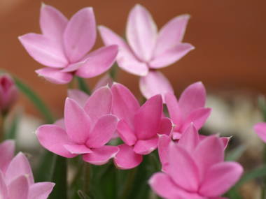 �A�b�c�U�N��