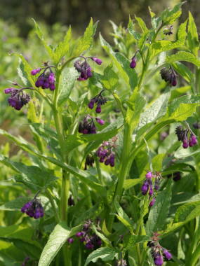 �q���n���\�E