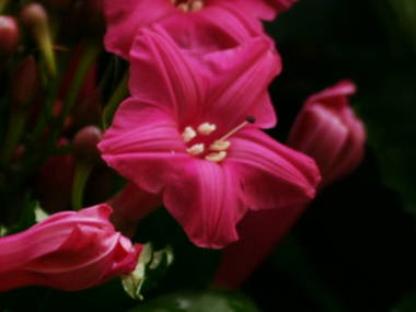 �z�U�L�A�T�K�I