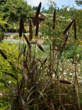 �y�j�Z�^���E�O���E�N��