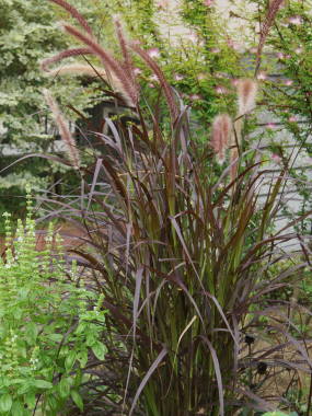 �y�j�Z�^���E�Z�^�P�E��