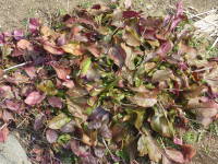 �������y���X�e����