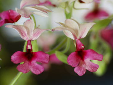 �J�����Z