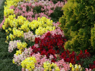 ��R���␫�L���M���\�E